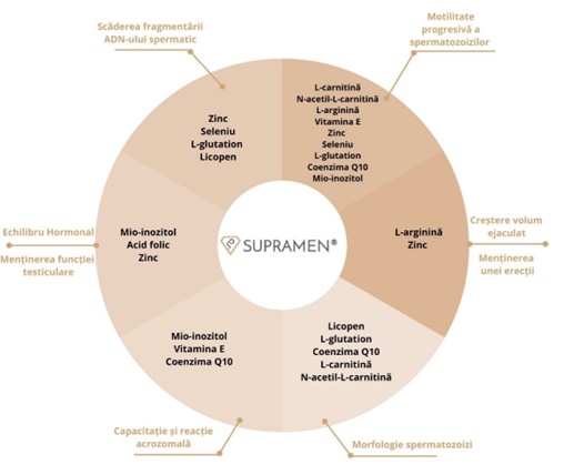 diagrama ingrediente supramen